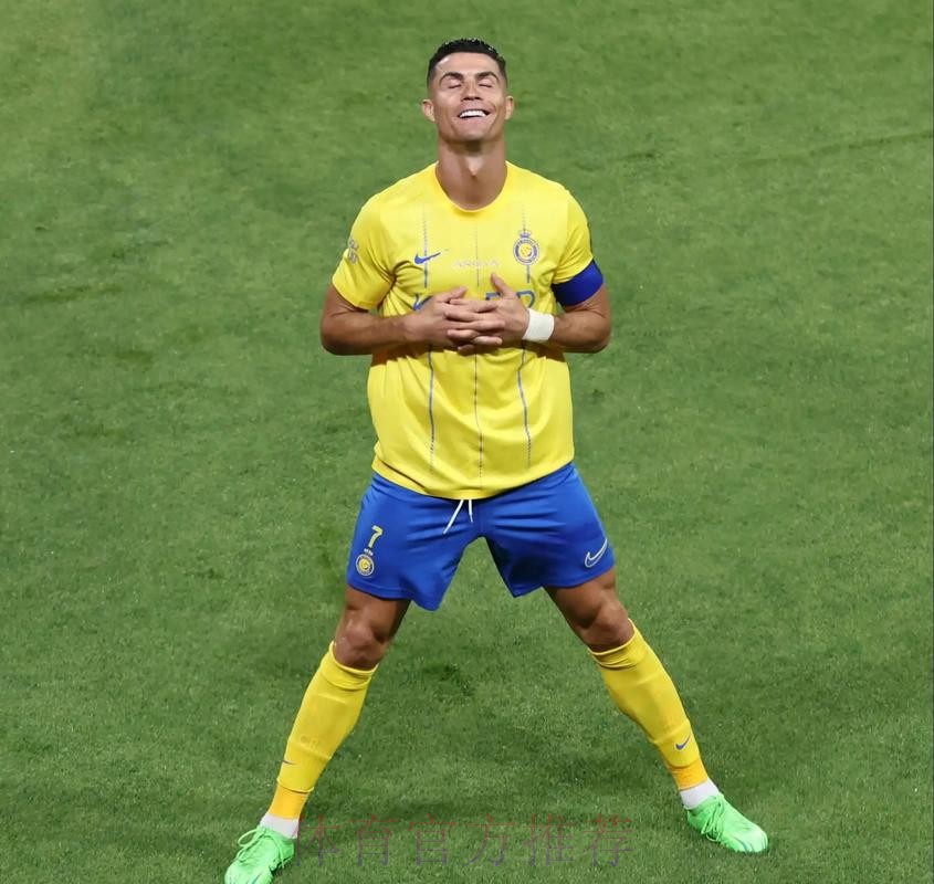 世界杯德国C罗焦点对决深度解读 世界杯德国C罗焦点对决深度解读