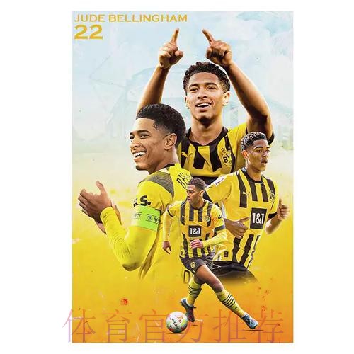 本届世界杯葡萄牙贝林厄姆数据统计完整指南