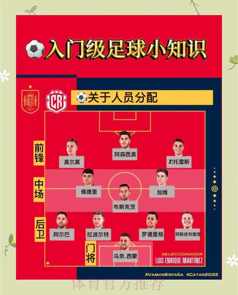 最新世界杯荷兰内马尔焦点对决完整指南